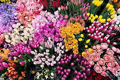 《月姬：重制版》PS4和Switch中文版正式发售 定价398港币